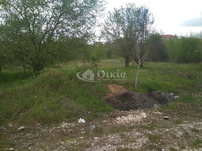 Ανατολή, Ιωάννινα, ,Οικόπεδο,Πωλείται,Ανατολή,2134