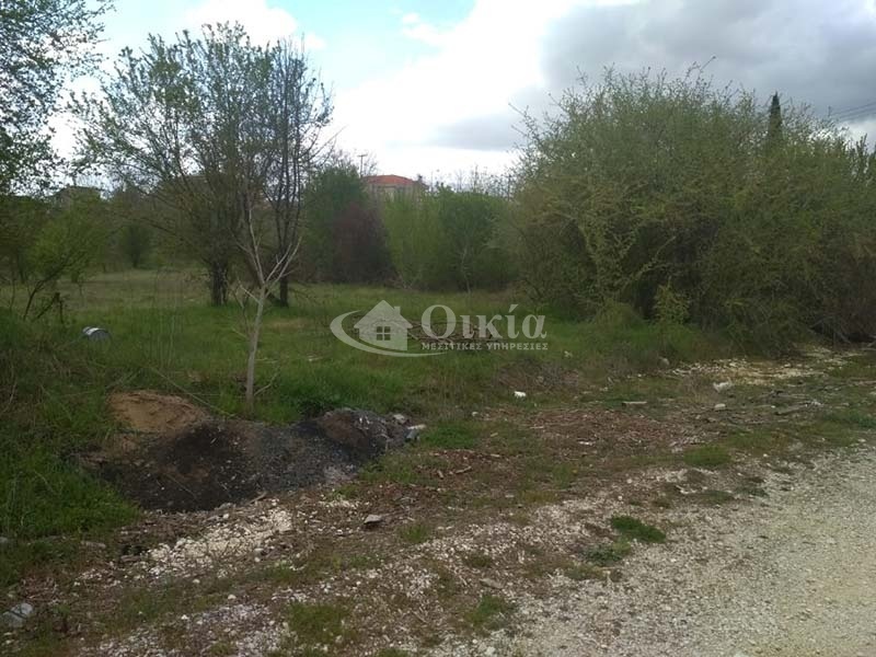 Ανατολή, Ιωάννινα, ,Οικόπεδο,Πωλείται,Ανατολή,2134