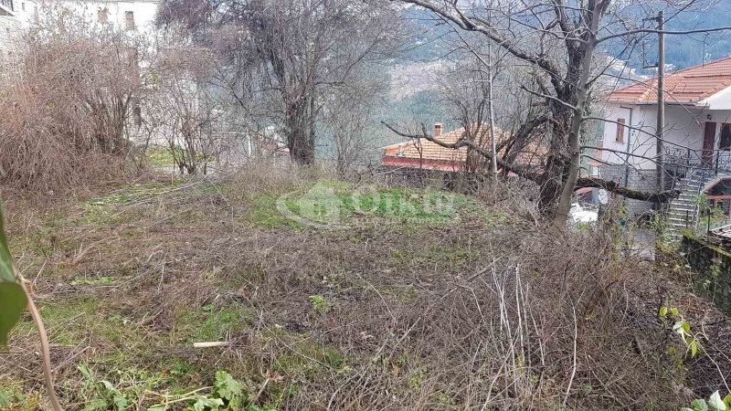 Μέτσοβο, Ιωάννινα, ,Οικόπεδο,Πωλείται,Μέτσοβο,2277