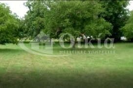 Ολυμπιάδα, Ιωάννινα, ,Οικόπεδο,Πωλείται,Ολυμπιάδα,2519