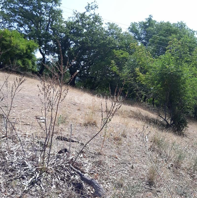 Βρυσούλα, Δήμου Ζίτσας, ,Οικόπεδο,Πωλείται,Βρυσούλα, Δήμου Ζίτσας,2636