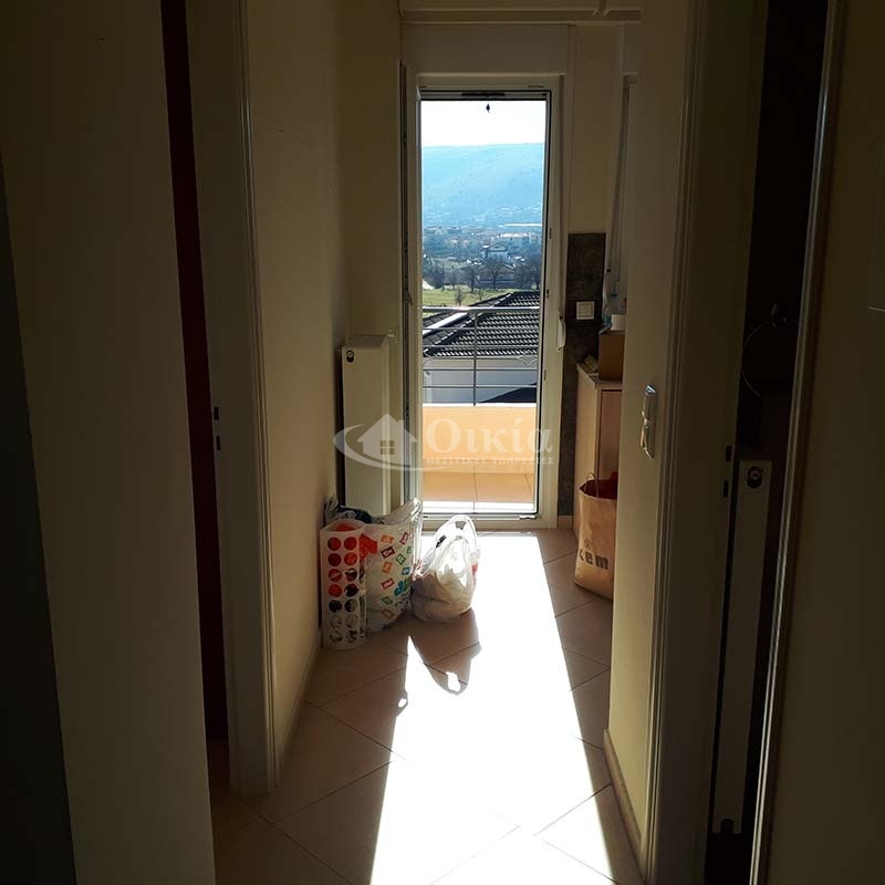 Δόμπολη, Ιωάννινα, 1 Υπνοδωμάτιο Υπνοδωμάτια, 2 Δωμάτια Δωμάτια,1 Τουαλέτα/ΛουτρόΤουαλέτες/Λουτρά,Διαμέρισμα,Ενοικίαση,Δόμπολη,1099