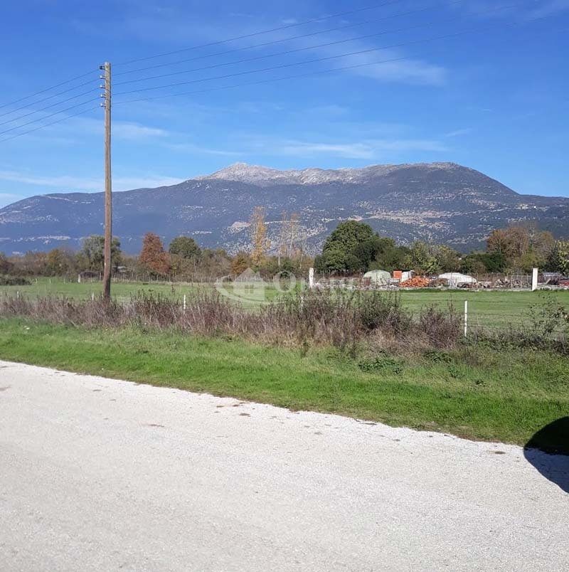 Βασιλική, Ιωάννινα, ,Οικόπεδο,Πωλείται,Βασιλική,2762