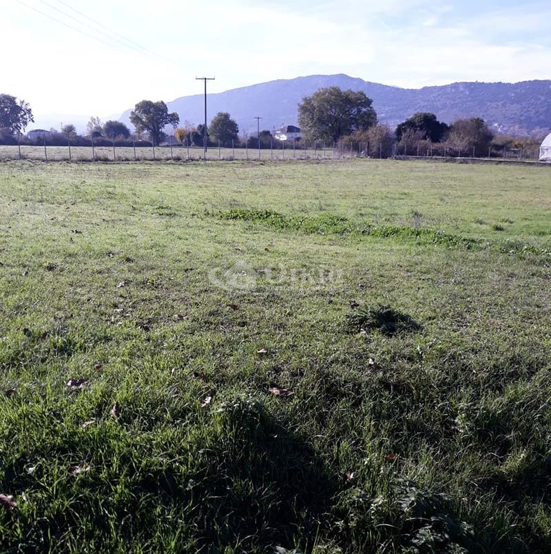 Βασιλική, Ιωάννινα, ,Οικόπεδο,Πωλείται,Βασιλική,2762