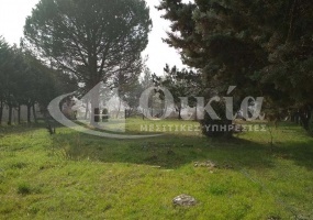Δροσιά, Ιωάννινα, ,Οικόπεδο,Πωλείται,Δροσιά,2776