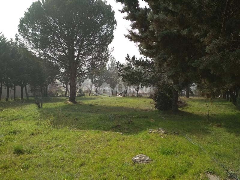 Δροσιά, Ιωάννινα, ,Οικόπεδο,Πωλείται,Δροσιά,2776