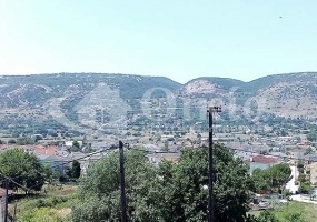 Καρδαμίτσια, Ιωάννινα, ,Οικόπεδο,Πωλείται,Καρδαμίτσια,2896