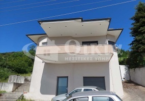 Αμπελιά, Ιωάννινα, 3 Υπνοδωμάτια Υπνοδωμάτια, ,1 Τουαλέτα/ΛουτρόΤουαλέτες/Λουτρά,Μονοκατοικία,Πωλείται,Αμπελιά,3138