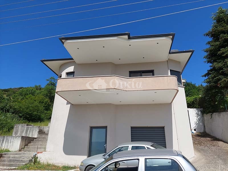 Αμπελιά, Ιωάννινα, 3 Υπνοδωμάτια Υπνοδωμάτια, ,1 Τουαλέτα/ΛουτρόΤουαλέτες/Λουτρά,Μονοκατοικία,Πωλείται,Αμπελιά,3138