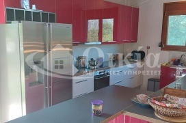 Καρδαμίτσια, Ιωάννινα, 4 Υπνοδωμάτια Υπνοδωμάτια, ,1 Τουαλέτα/ΛουτρόΤουαλέτες/Λουτρά,Μονοκατοικία,Πωλείται,Καρδαμίτσια,3344