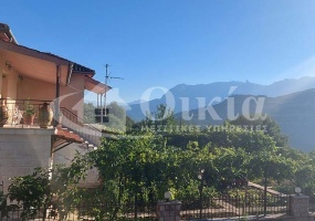 Πλατανούσα, Τζουμέρκα, Ιωάννινα, 4 Υπνοδωμάτια Υπνοδωμάτια, ,2 Τουαλέτες/ΛουτράΤουαλέτες/Λουτρά,Μονοκατοικία,Πωλείται,Πλατανούσα, Τζουμέρκα,3454