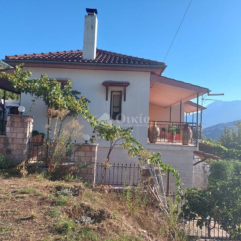 Πλατανούσα, Τζουμέρκα, Ιωάννινα, 4 Υπνοδωμάτια Υπνοδωμάτια, ,2 Τουαλέτες/ΛουτράΤουαλέτες/Λουτρά,Μονοκατοικία,Πωλείται,Πλατανούσα, Τζουμέρκα,3454