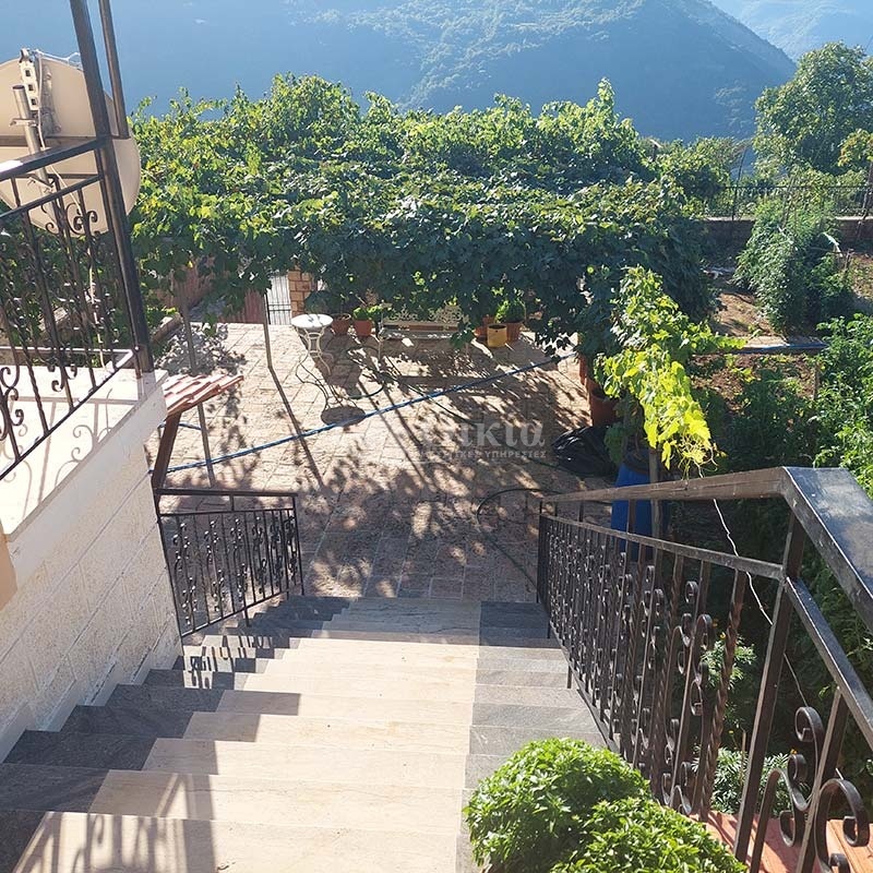 Πλατανούσα, Τζουμέρκα, Ιωάννινα, 4 Υπνοδωμάτια Υπνοδωμάτια, ,2 Τουαλέτες/ΛουτράΤουαλέτες/Λουτρά,Μονοκατοικία,Πωλείται,Πλατανούσα, Τζουμέρκα,3454