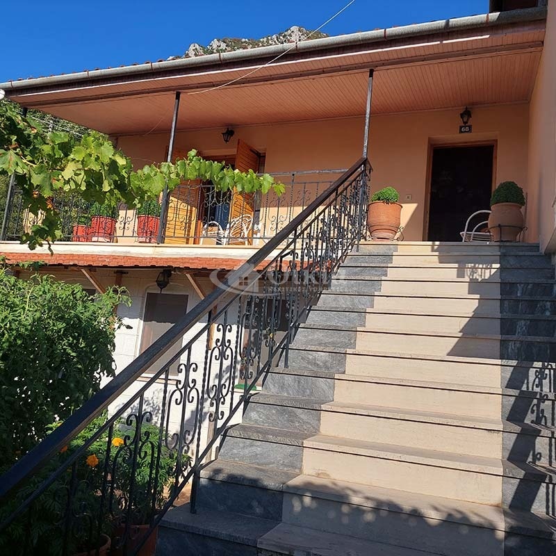 Πλατανούσα, Τζουμέρκα, Ιωάννινα, 4 Υπνοδωμάτια Υπνοδωμάτια, ,2 Τουαλέτες/ΛουτράΤουαλέτες/Λουτρά,Μονοκατοικία,Πωλείται,Πλατανούσα, Τζουμέρκα,3454