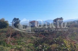 Πεδινή, Ιωάννινα, ,Οικόπεδο,Πωλείται,Πεδινή,3631