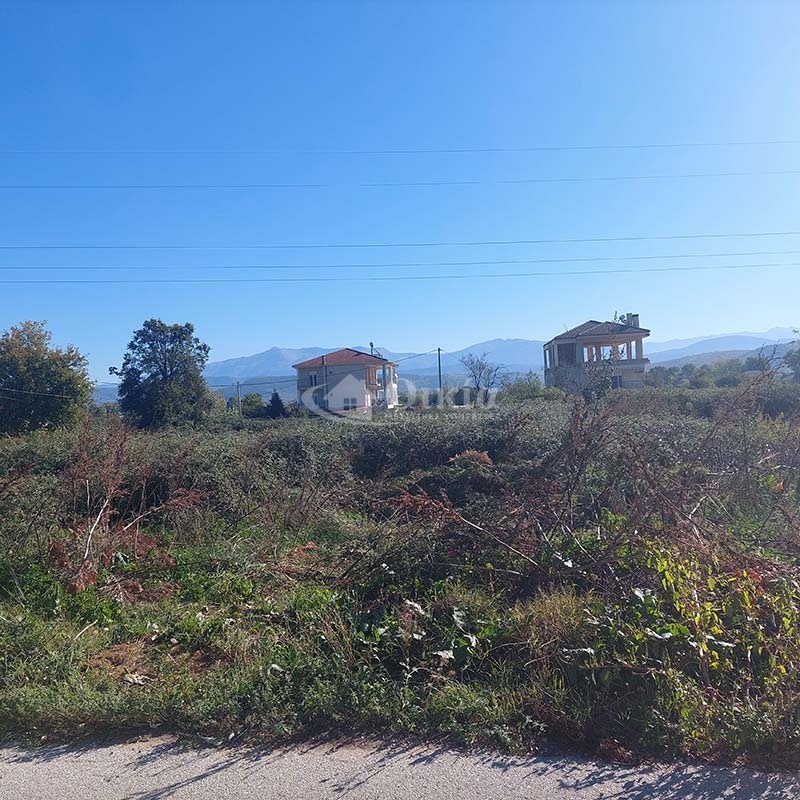 Πεδινή, Ιωάννινα, ,Οικόπεδο,Πωλείται,Πεδινή,3631