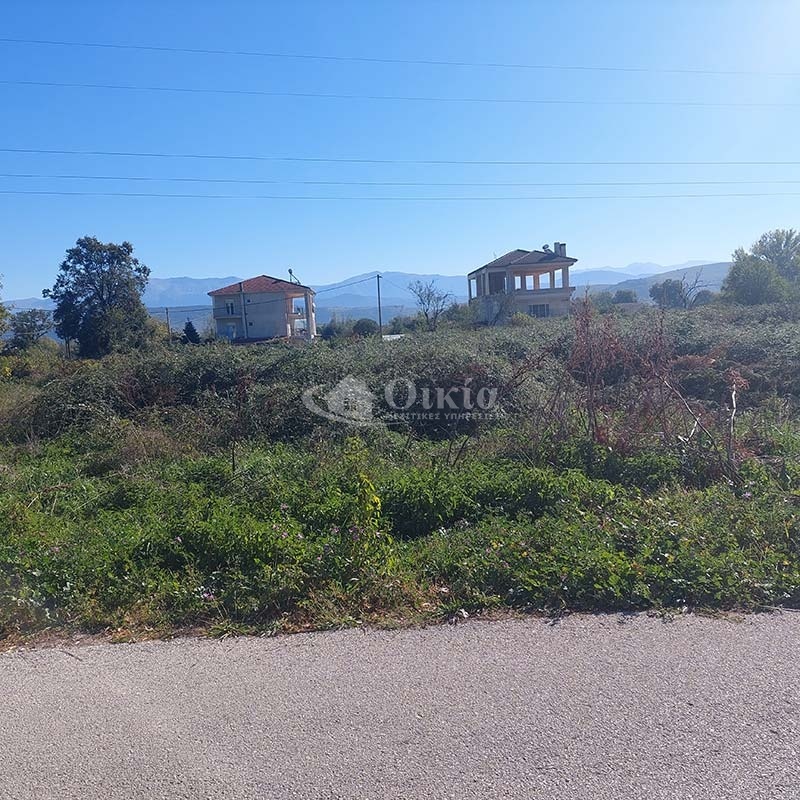 Πεδινή, Ιωάννινα, ,Οικόπεδο,Πωλείται,Πεδινή,3631