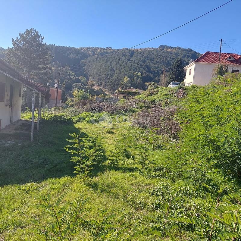Κοσμηρά, Ιωάννινα, ,Οικόπεδο,Πωλείται,Κοσμηρά,3660