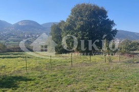 Καρδαμίτσια, Ιωάννινα, ,Αγροτεμάχιο,Πωλείται,Καρδαμίτσια,3706