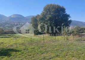 Καρδαμίτσια, Ιωάννινα, ,Αγροτεμάχιο,Πωλείται,Καρδαμίτσια,3706