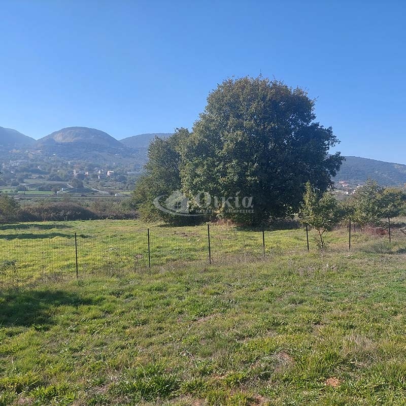 Καρδαμίτσια, Ιωάννινα, ,Αγροτεμάχιο,Πωλείται,Καρδαμίτσια,3706
