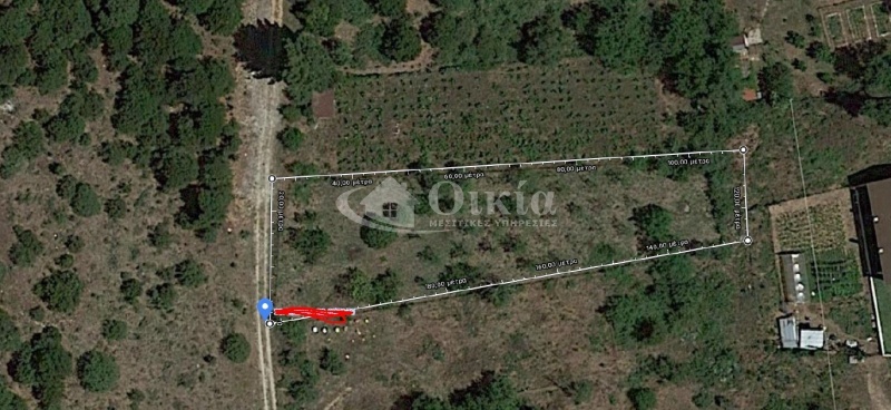 Πεδινή, Ιωάννινα, ,Οικόπεδο,Πωλείται,Πεδινή,3790