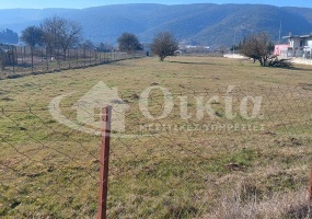 Βουνοπλαγιά, Ιωάννινα, ,Αγροτεμάχιο,Πωλείται,Βουνοπλαγιά,3873