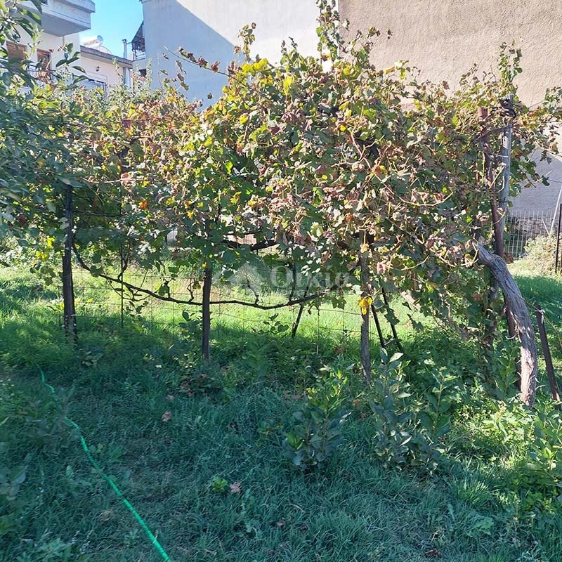 Ανατολή, Ιωάννινα, ,Οικόπεδο,Πωλείται,Ανατολή,3927