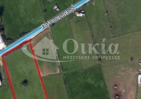 Εθνική Οδός Ιωαννίνων-Αθηνών, Ιωάννινα, ,Αγροτεμάχιο,Πωλείται,Εθνική Οδός Ιωαννίνων-Αθηνών,3983