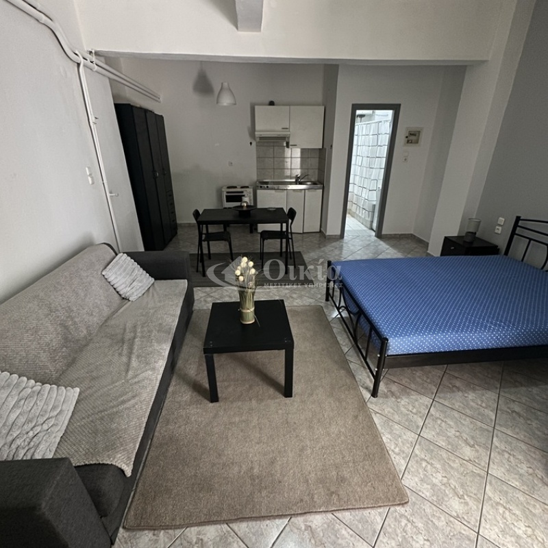 Καραισκάκη, Ιωάννινα, 1 Δωμάτιο Δωμάτια,1 Τουαλέτα/ΛουτρόΤουαλέτες/Λουτρά,Διαμέρισμα,Ενοικίαση,Καραισκάκη,4086