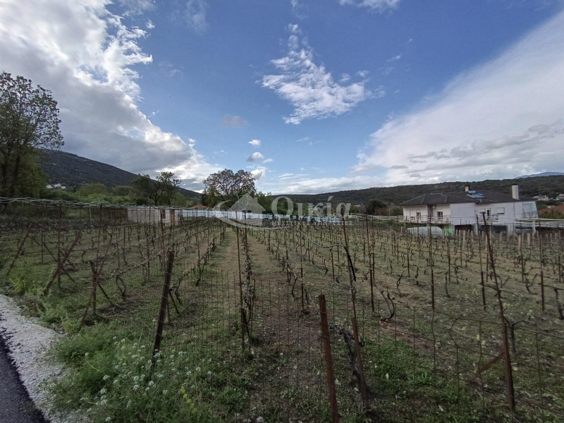 Κοσμηρά, Ιωάννινα, ,Οικόπεδο,Πωλείται,Κοσμηρά,4092