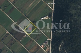 Καστρίτσα, Ιωάννινα, ,Αγροτεμάχιο,Πωλείται,Καστρίτσα,4252