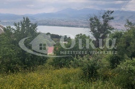 Λυγγιάδες, Ιωάννινα, ,Οικόπεδο,Πωλείται,Λυγγιάδες,4351