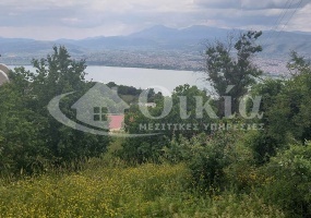 Λυγγιάδες, Ιωάννινα, ,Οικόπεδο,Πωλείται,Λυγγιάδες,4351