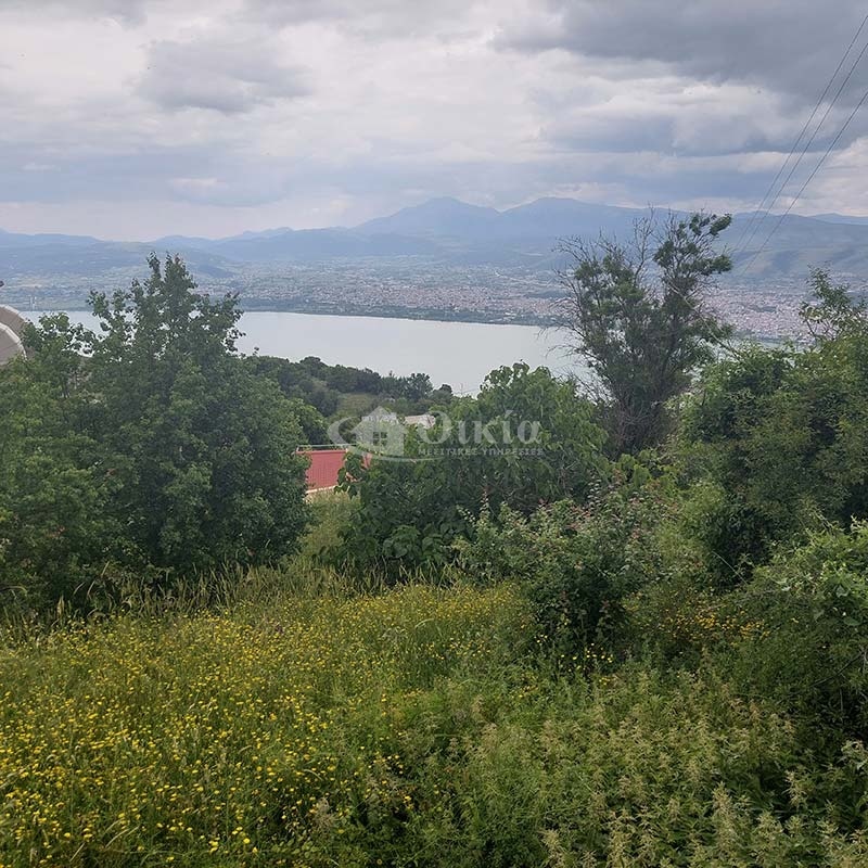 Λυγγιάδες, Ιωάννινα, ,Οικόπεδο,Πωλείται,Λυγγιάδες,4351