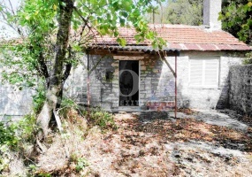 Μεγάλο Περιστέρι, Ιωάννινα, 1 Υπνοδωμάτιο Υπνοδωμάτια, ,2 Τουαλέτες/ΛουτράΤουαλέτες/Λουτρά,Μονοκατοικία,Πωλείται,Μεγάλο Περιστέρι,4420