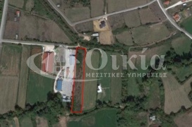 Βασιλική, Ιωάννινα, ,Αγροτεμάχιο,Πωλείται,Βασιλική,4571