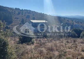 Κληματιά, Ιωάννινα, ,Επιχείρηση,Πωλείται,Κληματιά,4616