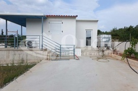 Σκάλα Σκαφιδάκη, Άγιος Θωμάς, Πρέβεζα, 1 Υπνοδωμάτιο Υπνοδωμάτια, ,1 Τουαλέτα/ΛουτρόΤουαλέτες/Λουτρά,Μονοκατοικία,Πωλείται,Σκάλα Σκαφιδάκη, Άγιος Θωμάς,4796