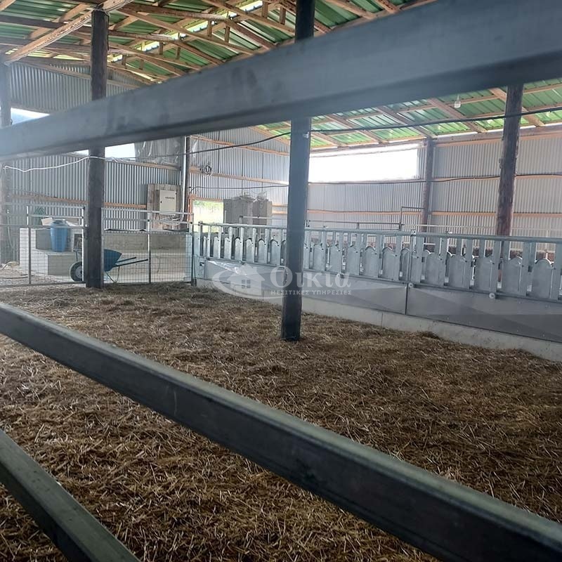 Γαβρισιοί, Ιωάννινα, ,Επιχείρηση,Πωλείται,Γαβρισιοί,4880