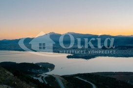 Λυγγιάδες, Ιωάννινα, ,Οικόπεδο,Πωλείται,Λυγγιάδες,4940