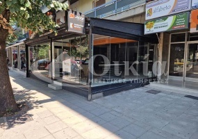 Λεωφόρος Δωδώνης, Ιωάννινα, ,Κατάστημα,Ενοικίαση,Λεωφόρος Δωδώνης,5015