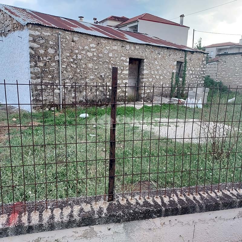 Πεδινή, Ιωάννινα, ,Οικόπεδο,Πωλείται,Πεδινή,5114