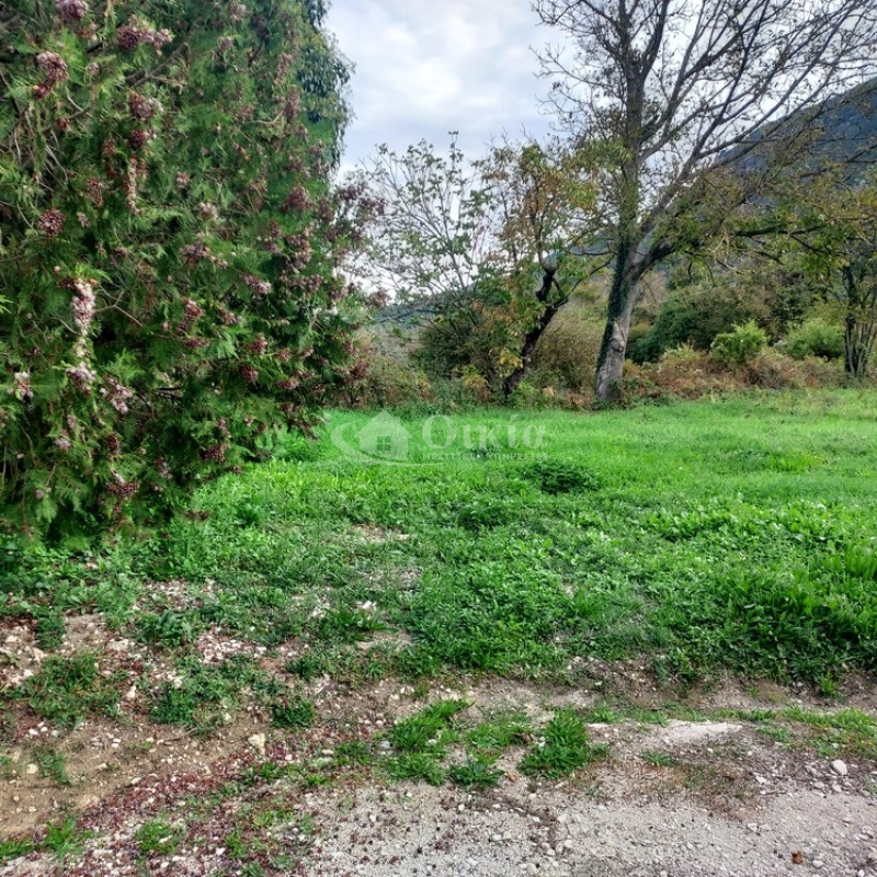 Κλειδωνιά, Κόνιτσα, Ιωάννινα, 2 Υπνοδωμάτια Υπνοδωμάτια, ,1 Τουαλέτα/ΛουτρόΤουαλέτες/Λουτρά,Μονοκατοικία,Πωλείται,Κλειδωνιά, Κόνιτσα,5197