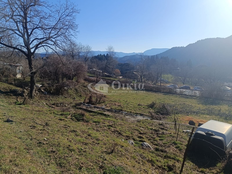 Τσεπέλοβο, Ιωάννινα, ,Οικόπεδο,Πωλείται,Τσεπέλοβο,5212