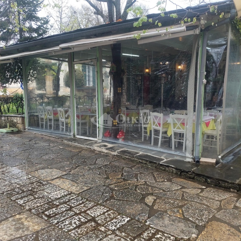 Νήσος, Ιωάννινα, ,Επιχείρηση,Ενοικίαση,Νήσος,5355