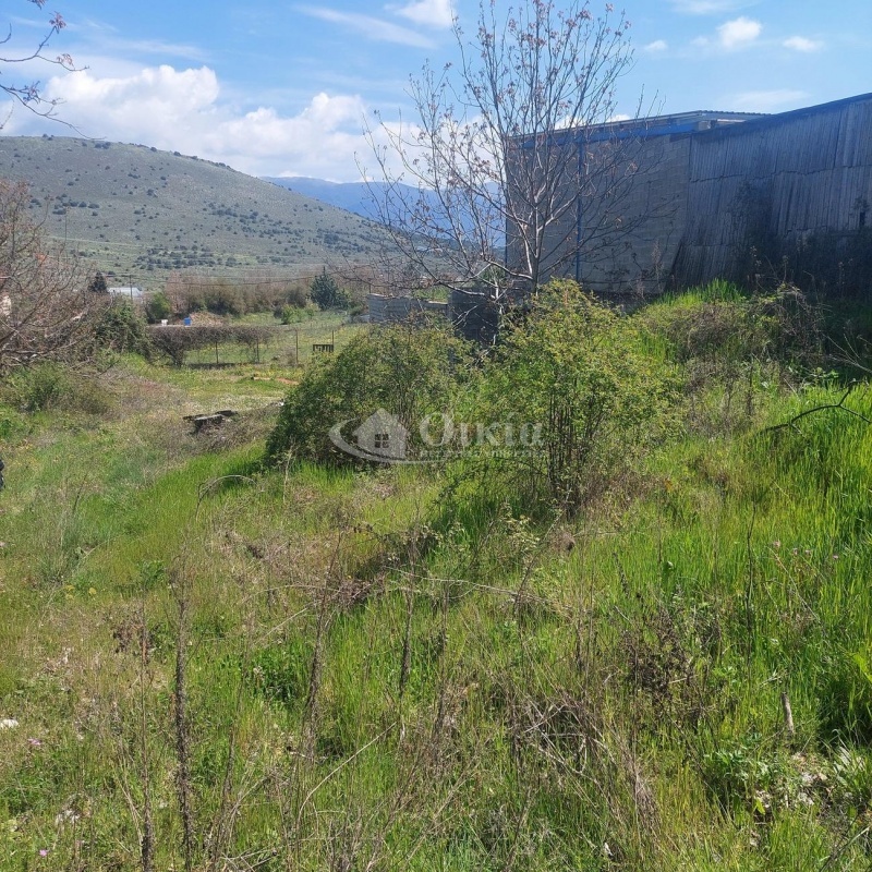 Εθνική Οδός Ιωαννίνων - Ηγουμενίτσας, Ιωάννινα, ,Αγροτεμάχιο,Πωλείται,Εθνική Οδός Ιωαννίνων - Ηγουμενίτσας,5372