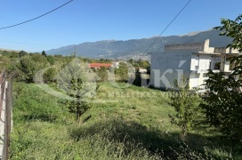 Ελεούσα, Ιωάννινα, ,Οικόπεδο,Πωλείται,Ελεούσα,5677