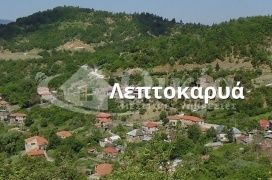 Λεπτοκαρυά, Ζαγόρι, Ιωάννινα, ,Οικόπεδο,Πωλείται,Λεπτοκαρυά, Ζαγόρι,5767