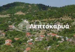 Λεπτοκαρυά, Ζαγόρι, Ιωάννινα, ,Οικόπεδο,Πωλείται,Λεπτοκαρυά, Ζαγόρι,5767